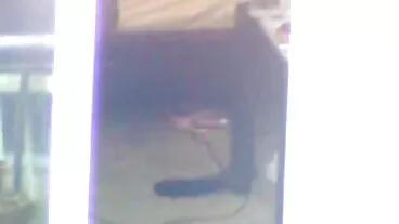 Latina avec un joli trou film porno hd poilu Nickey Huntsman baisée par derrière