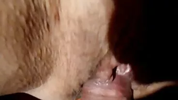 Les chaudasses esthétiques Sofi Ryan hd porno gratuit et Chloe Amour adorent la bite hardcore